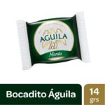 MEDALLON MENTA AGUI Xu (x15)