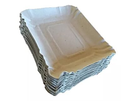 BANDEJA CARTON N°5