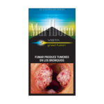 MARLBORO VISTA GARDEN BOX X 20